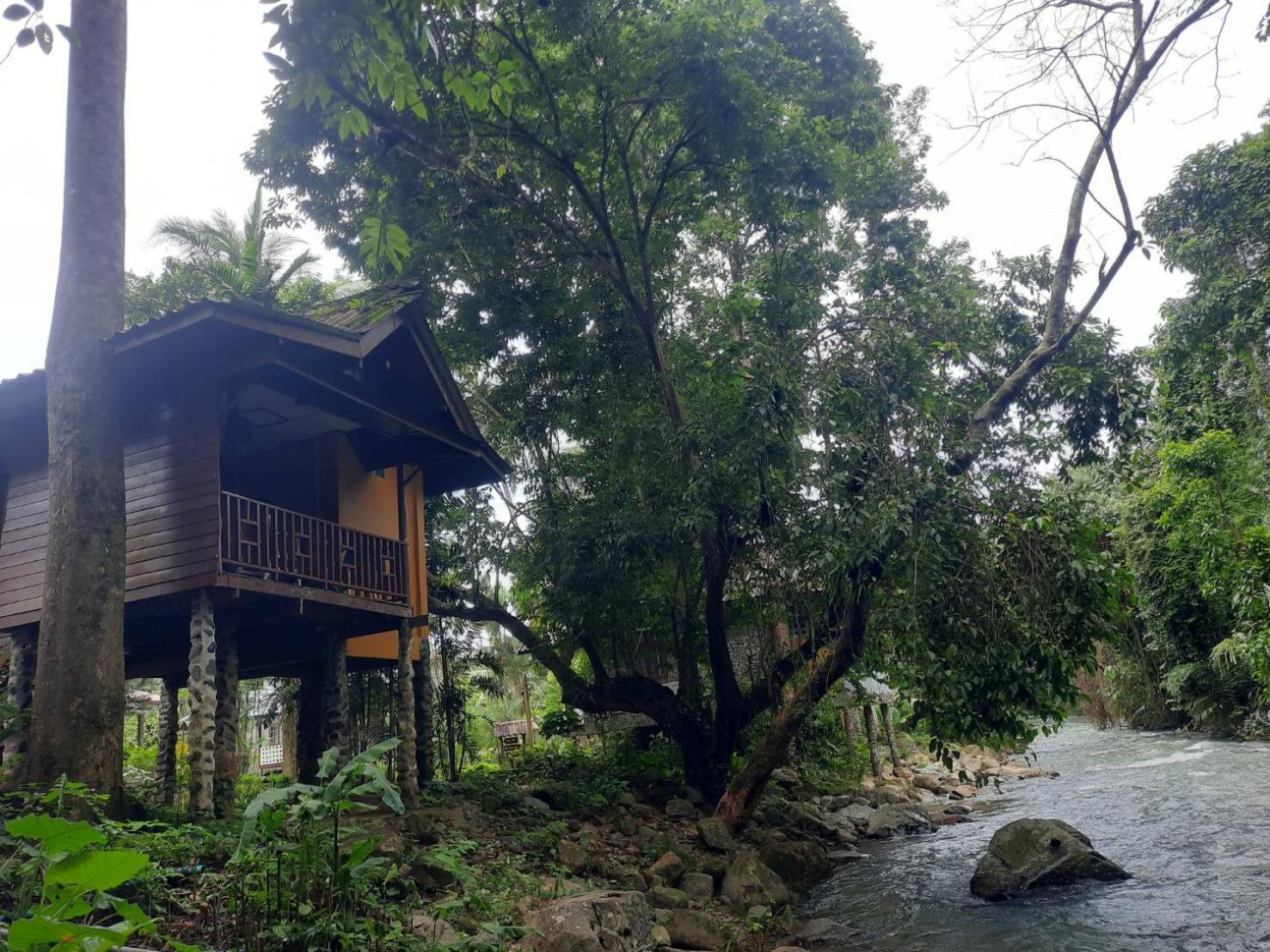 Tree Tops River Huts Khao Sok National Park Bagian luar foto
