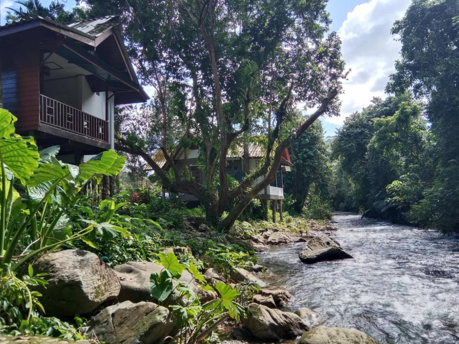 Tree Tops River Huts Khao Sok National Park Bagian luar foto